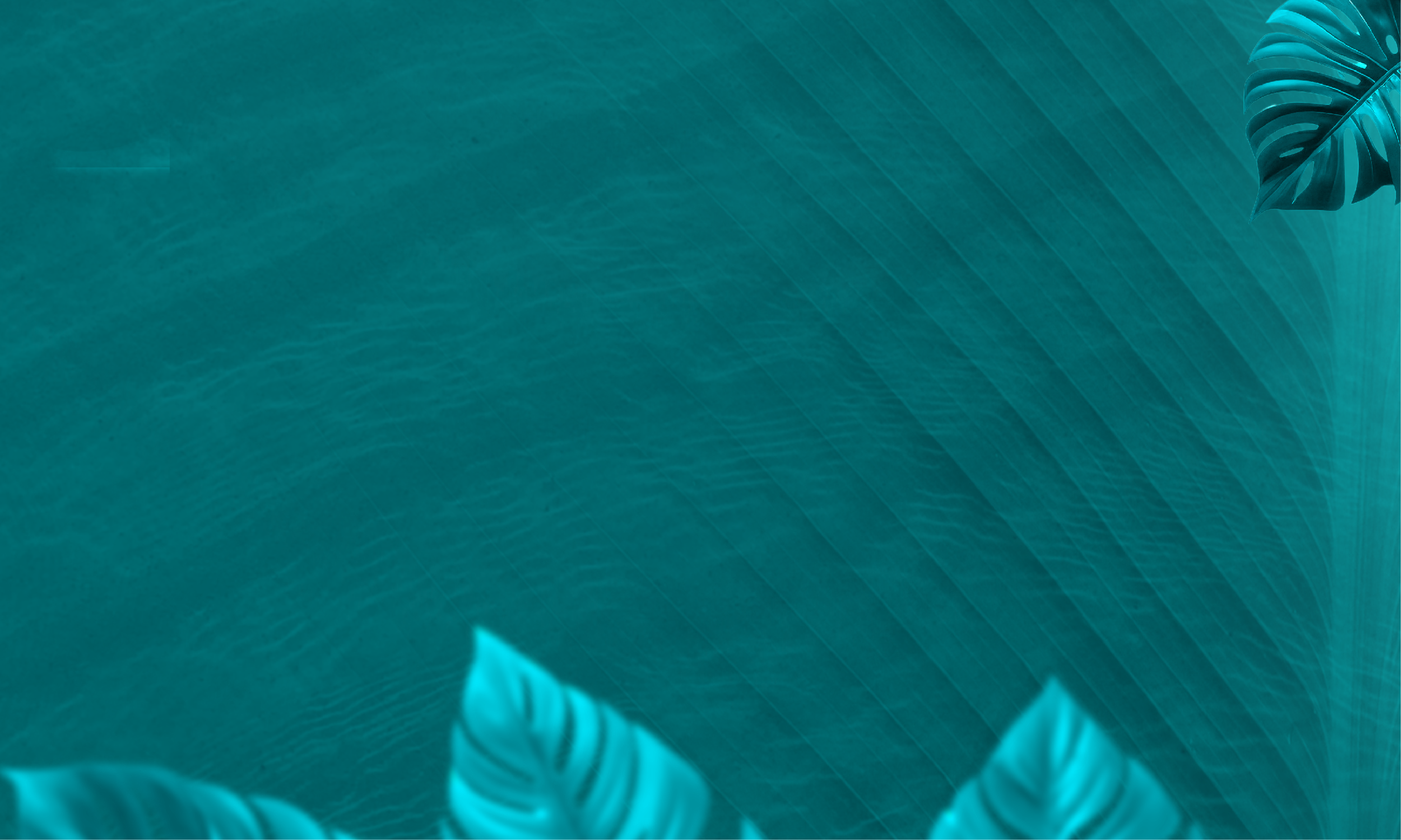 What is Lorem Ipsum?