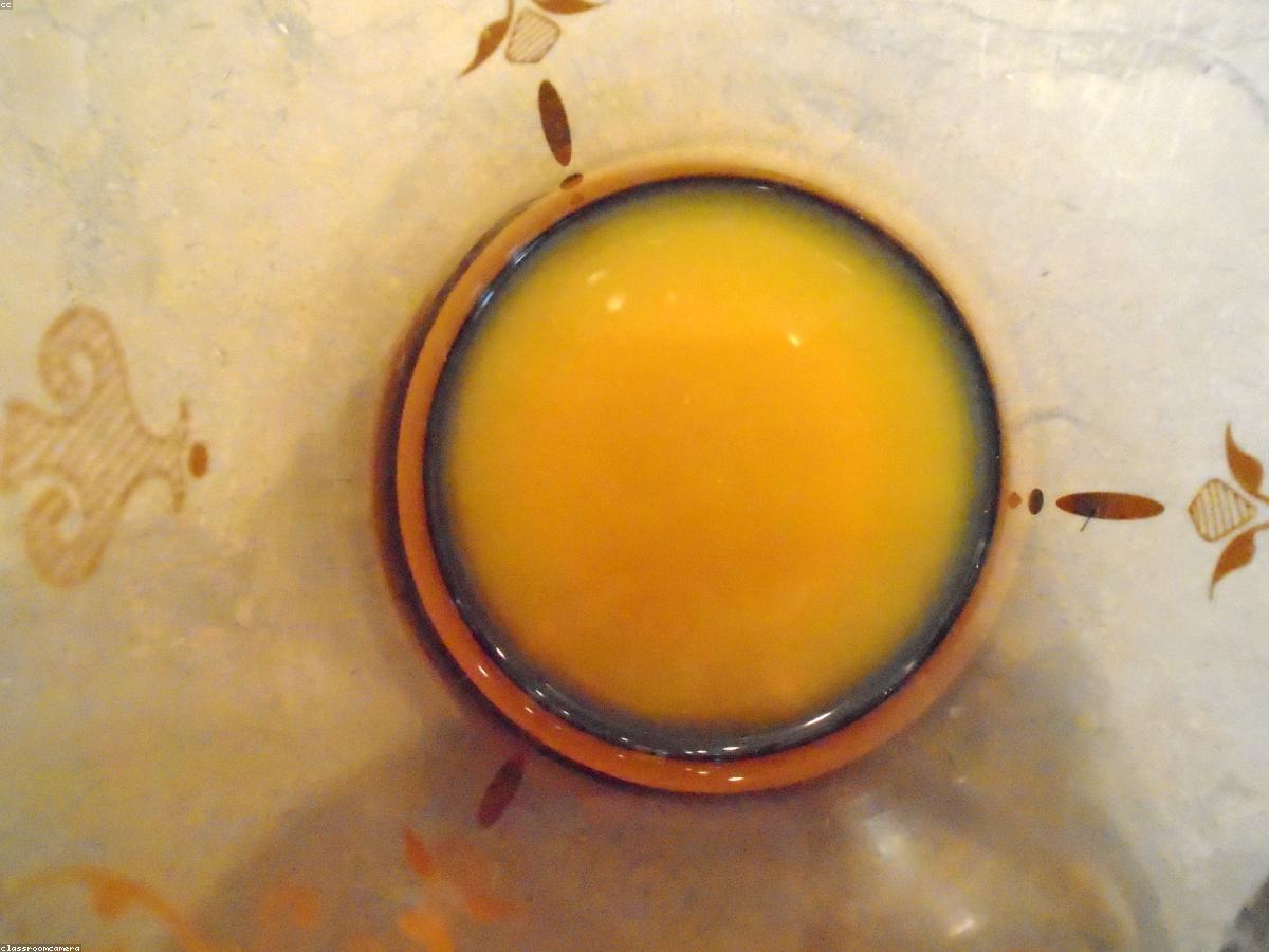 Fresh Orange Juice