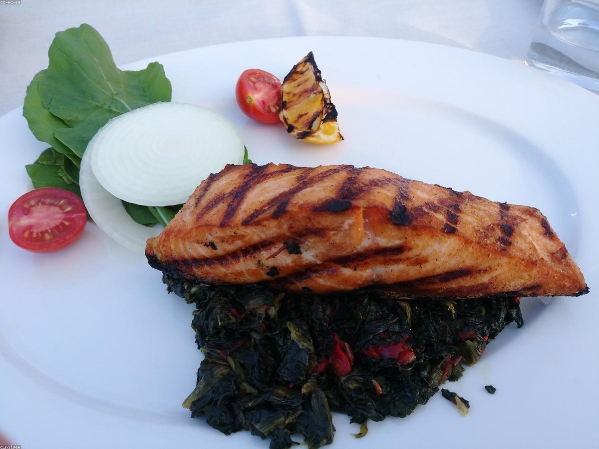 Grilled Salmon